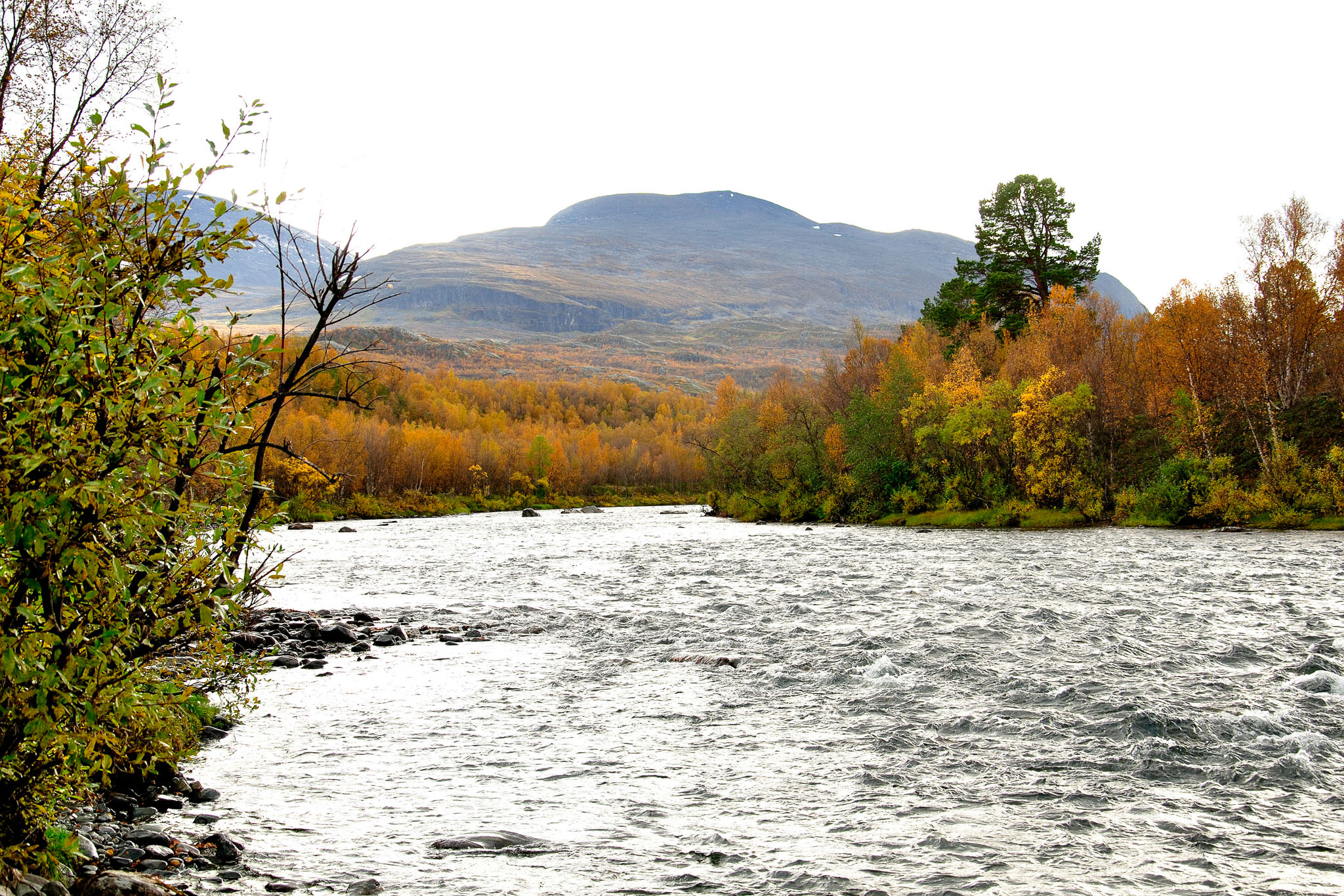 00013Abisko-sep2011.jpg