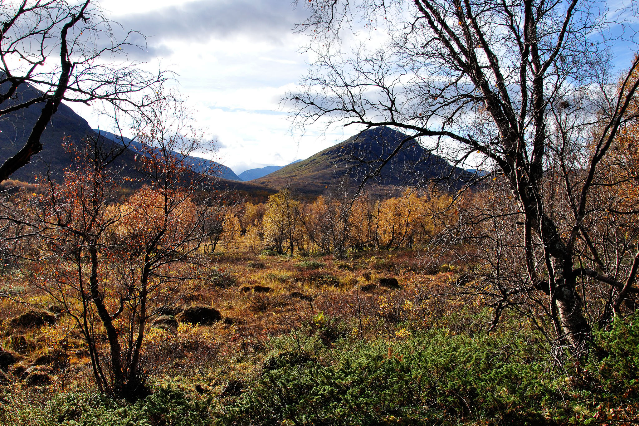 00022Abisko-sep2011.jpg