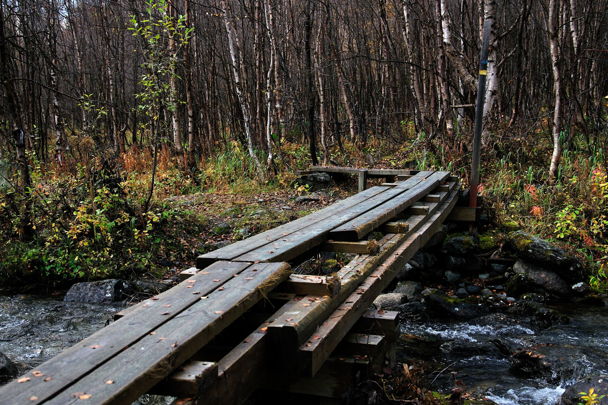 00024Abisko-sep2011.jpg