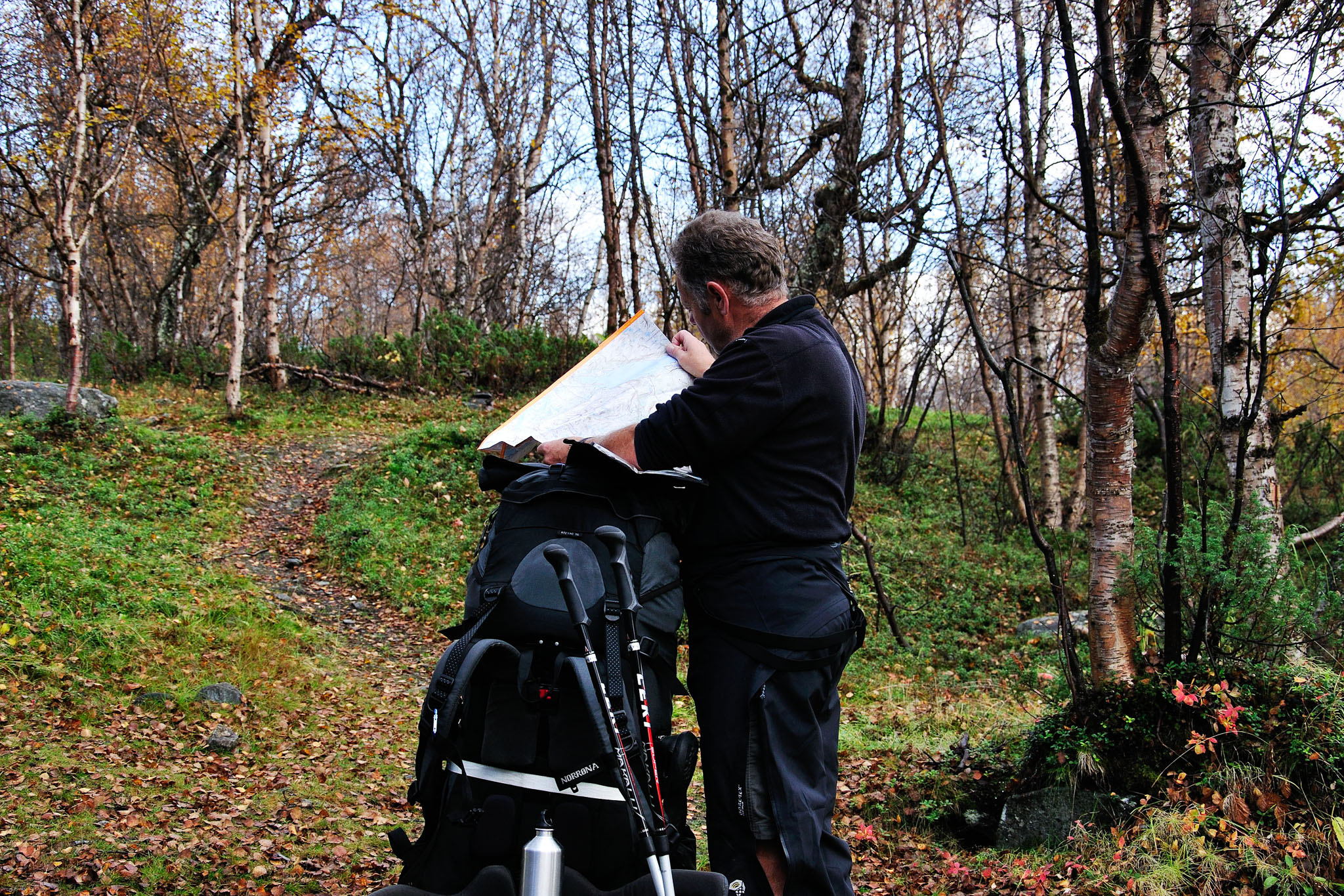 00026Abisko-sep2011.jpg