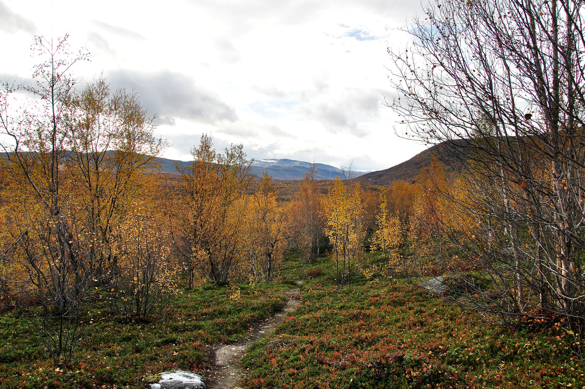 00027Abisko-sep2011.jpg