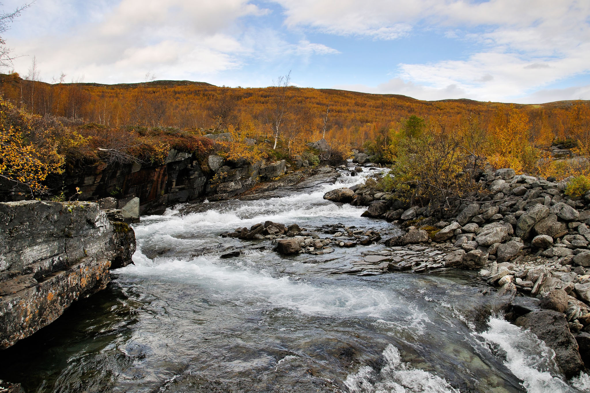 00029Abisko-sep2011.jpg