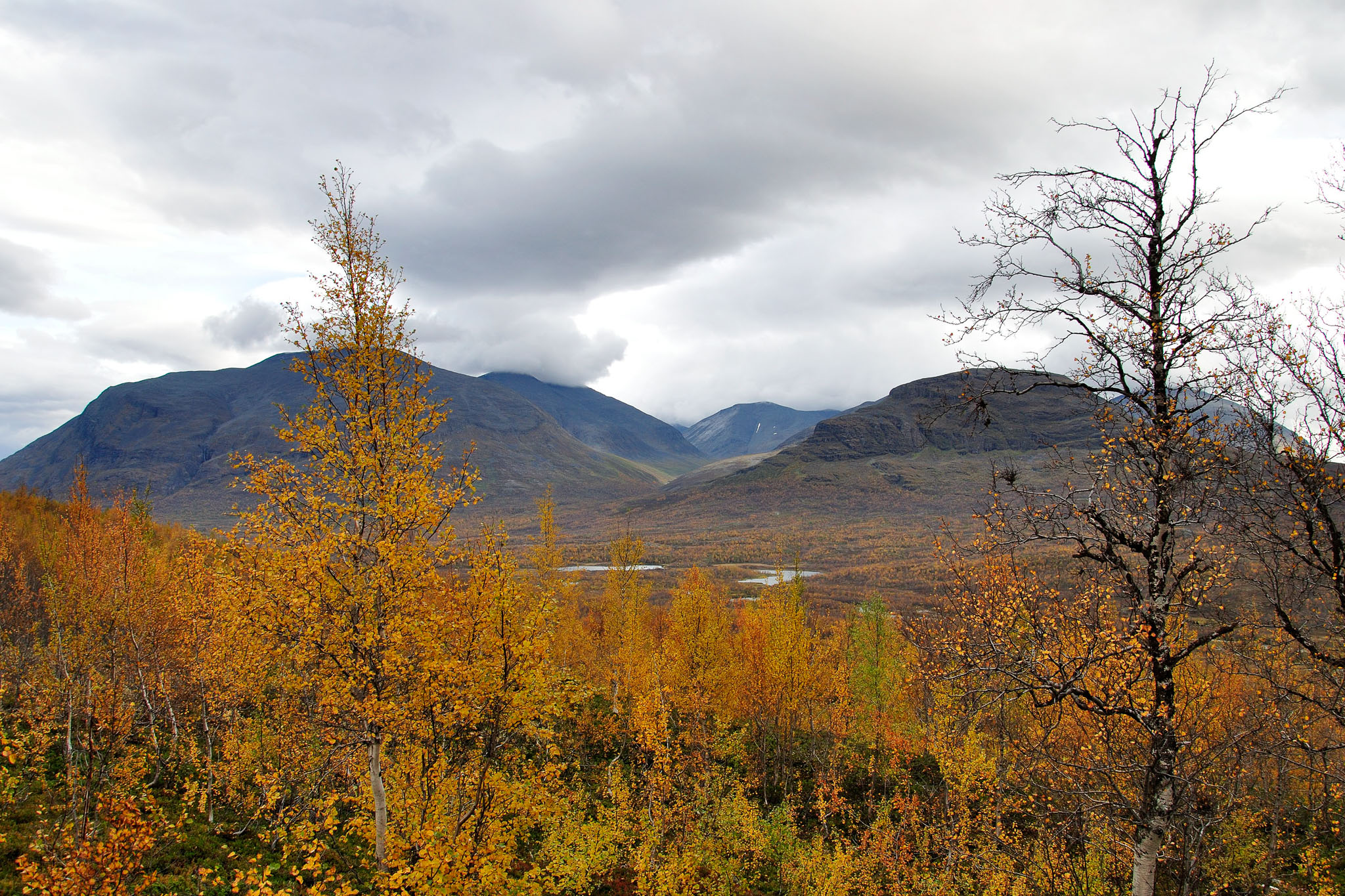 00034Abisko-sep2011.jpg