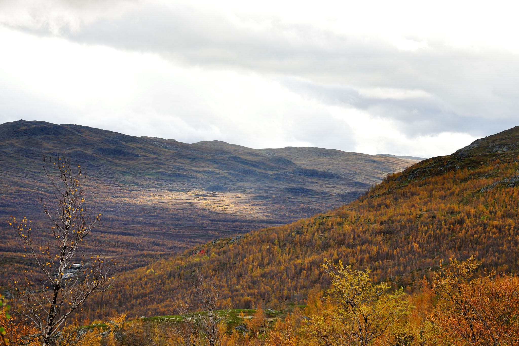 00035Abisko-sep2011.jpg