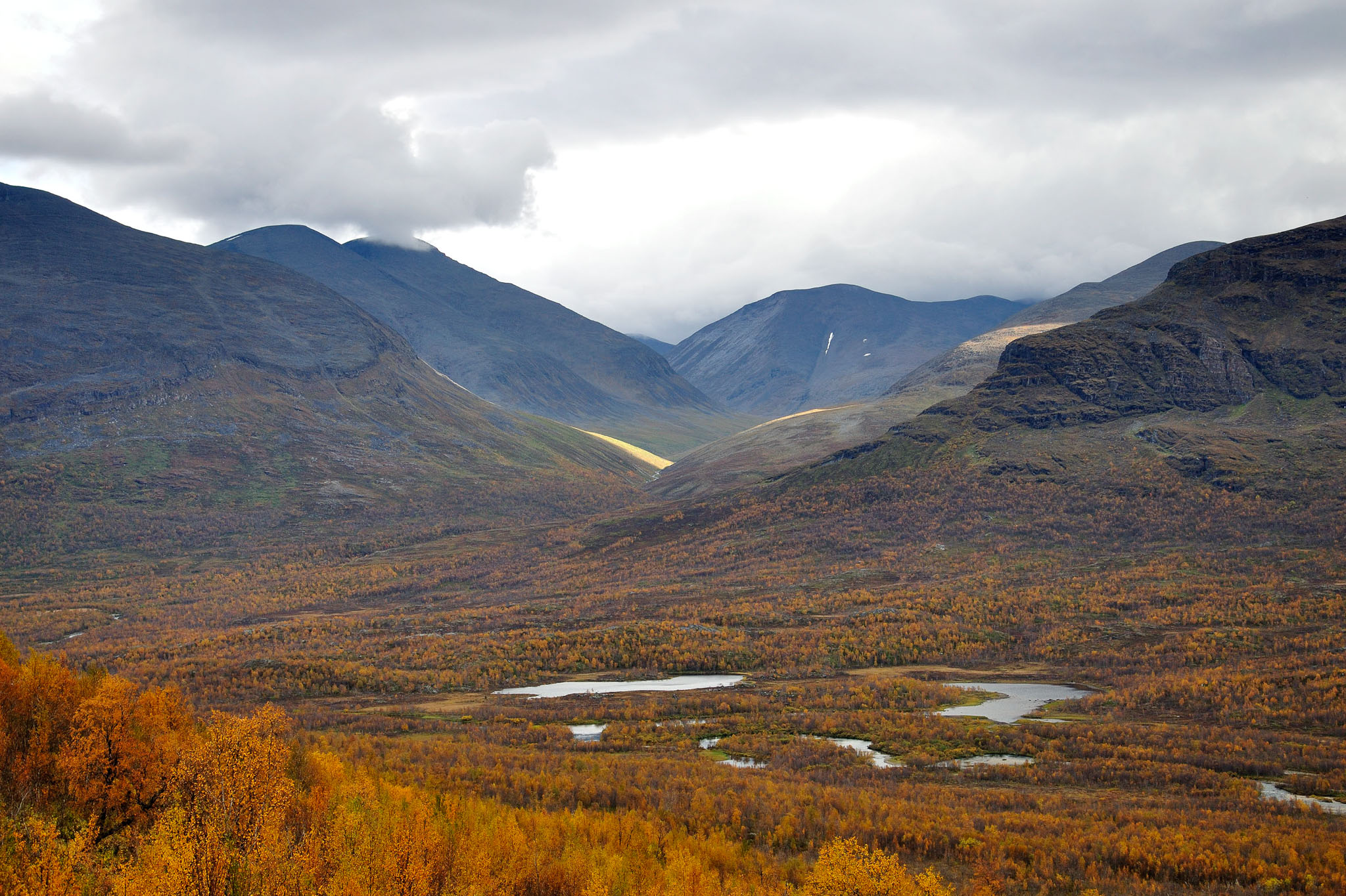 00036Abisko-sep2011.jpg