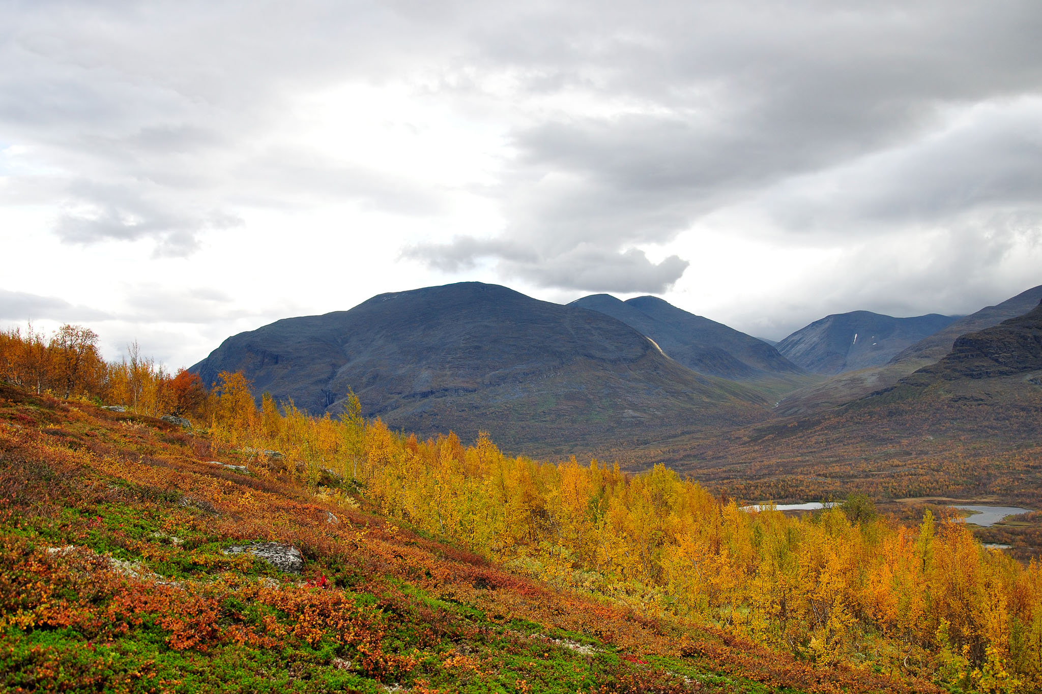 00038Abisko-sep2011.jpg