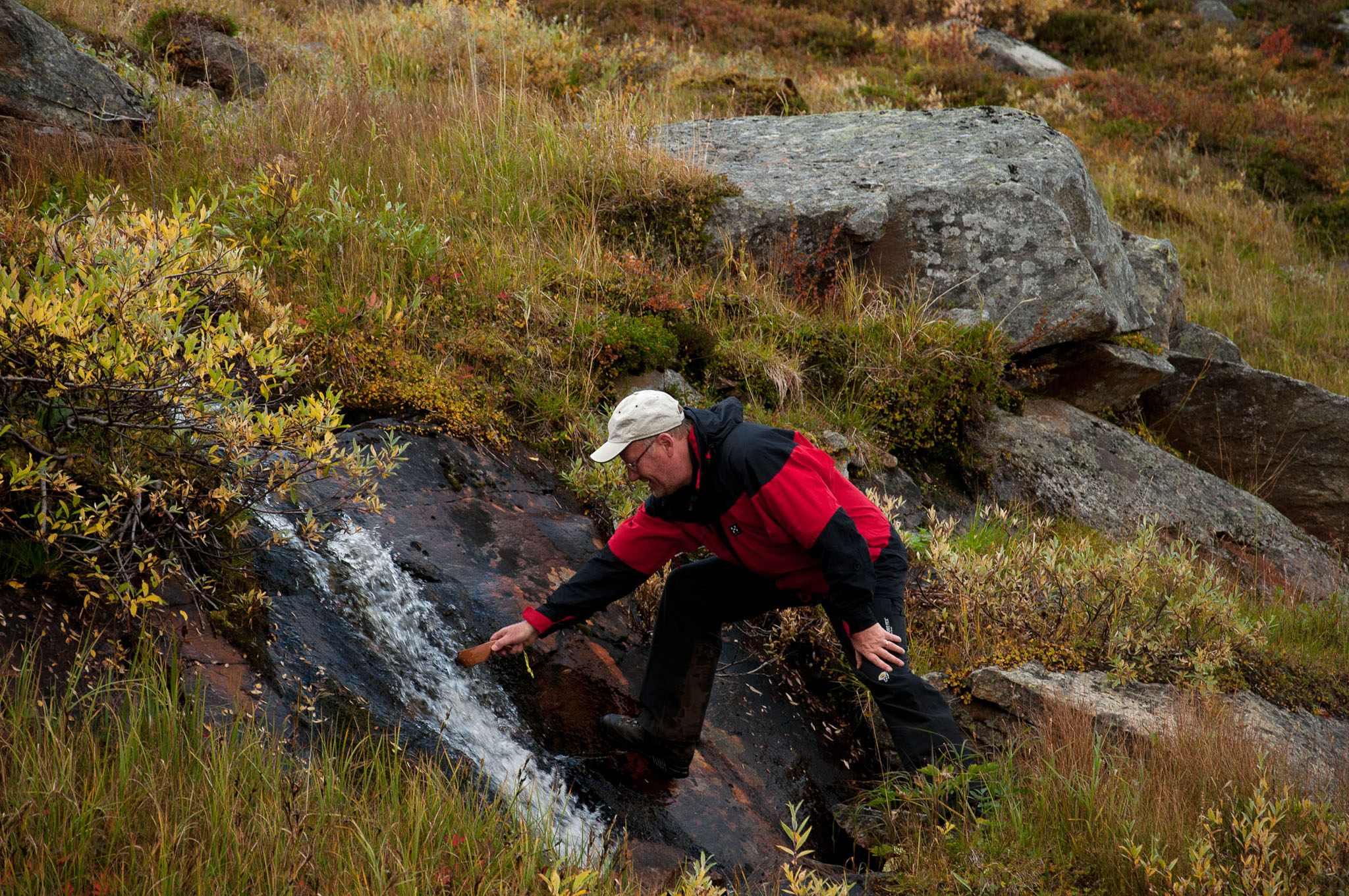 00040Abisko-sep2011.jpg