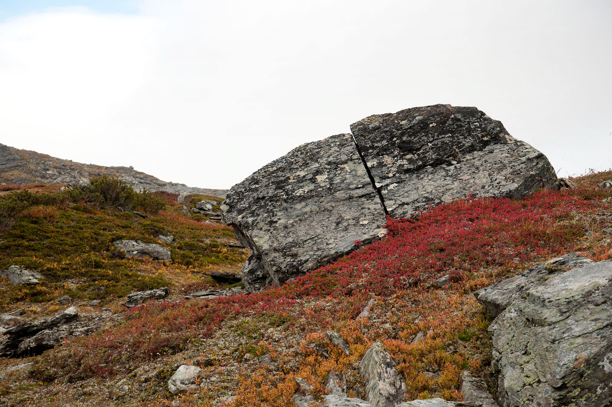 00056Abisko-sep2011.jpg