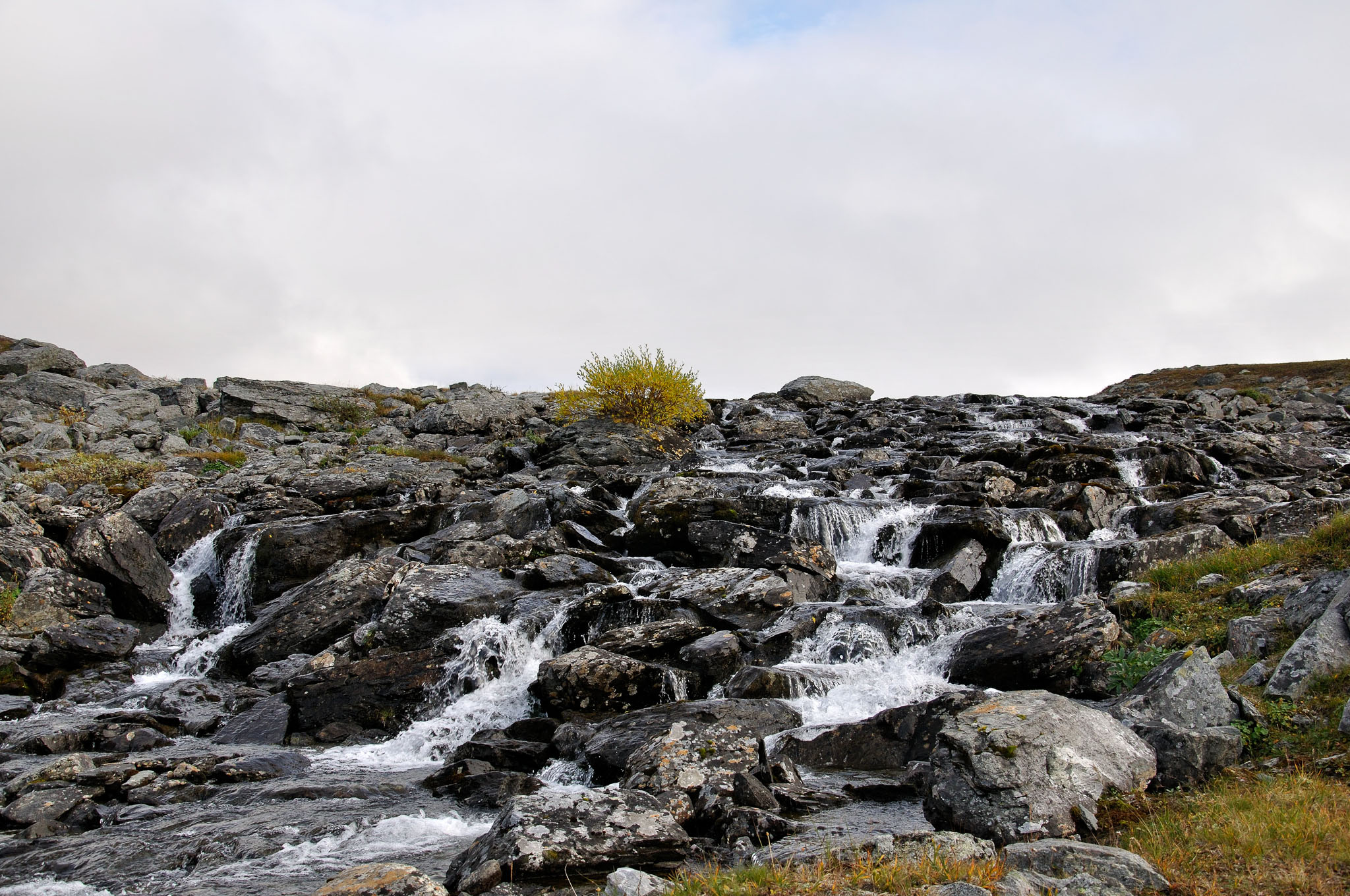 00057Abisko-sep2011.jpg