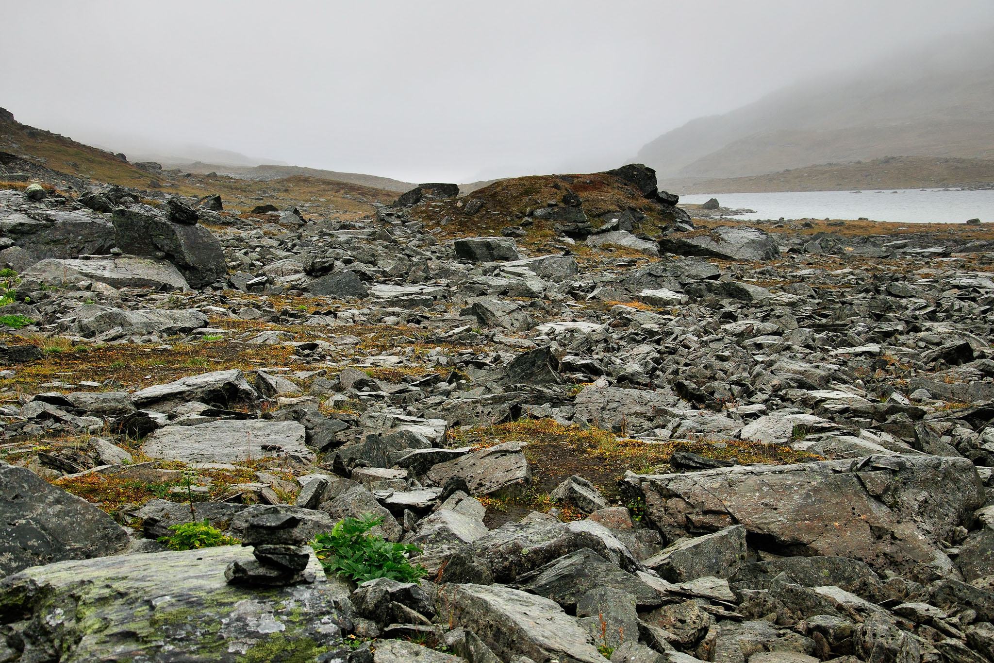 00065Abisko-sep2011.jpg