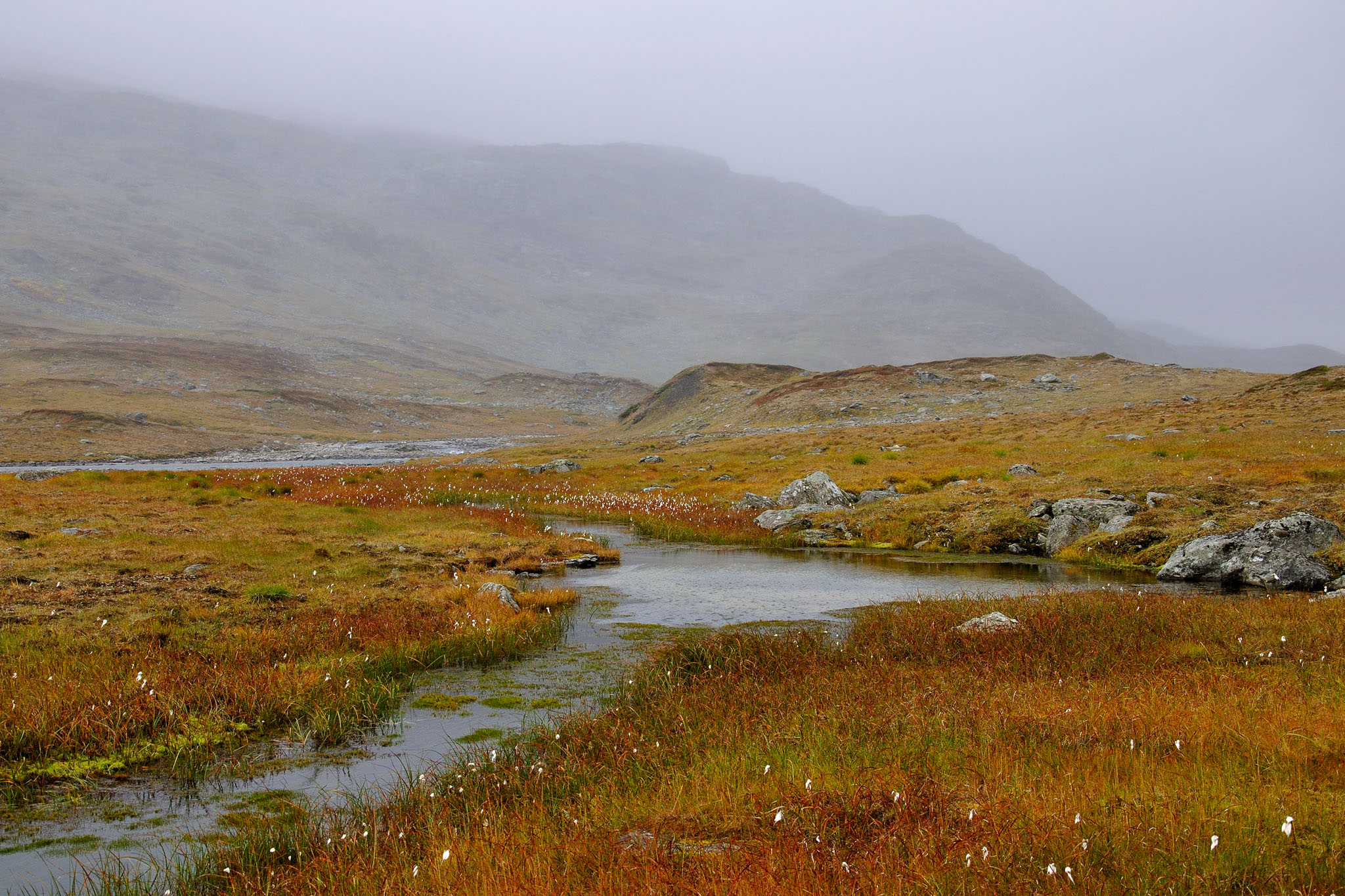 00068Abisko-sep2011.jpg