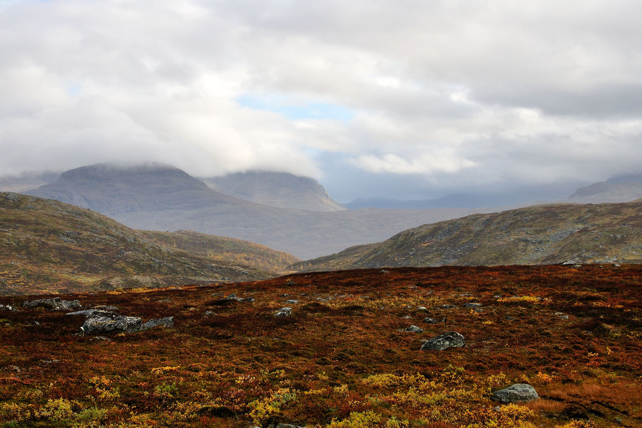 00077Abisko-sep2011.jpg