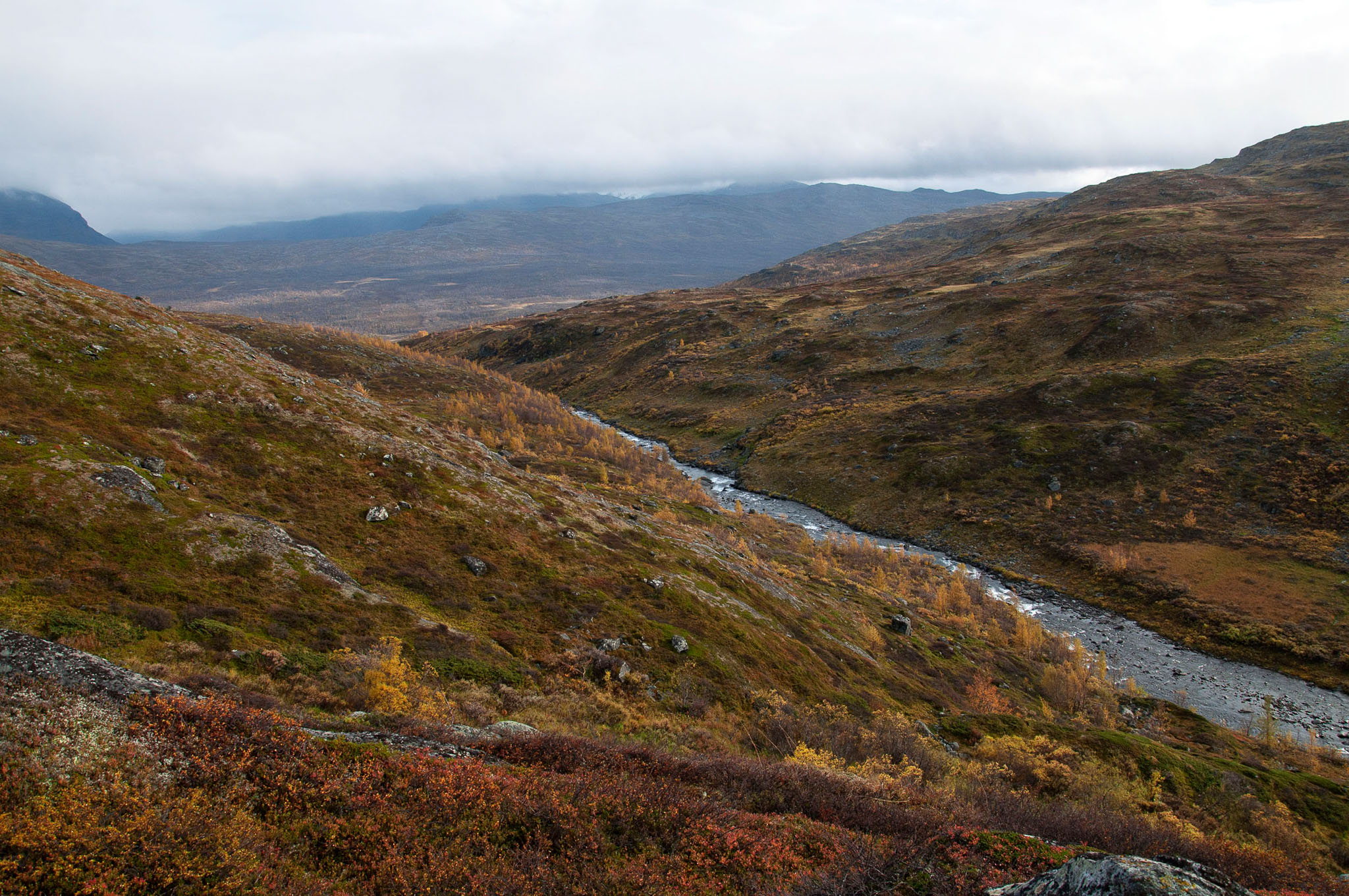 00078Abisko-sep2011.jpg