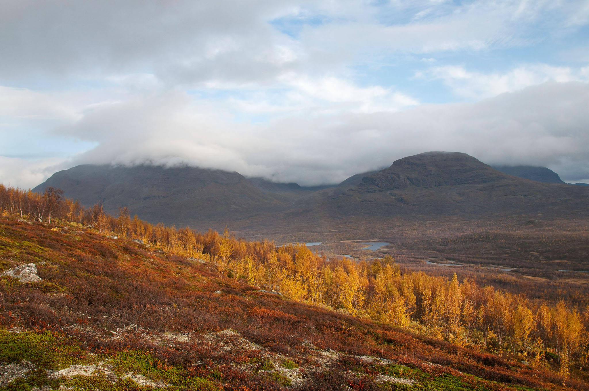 00081Abisko-sep2011.jpg