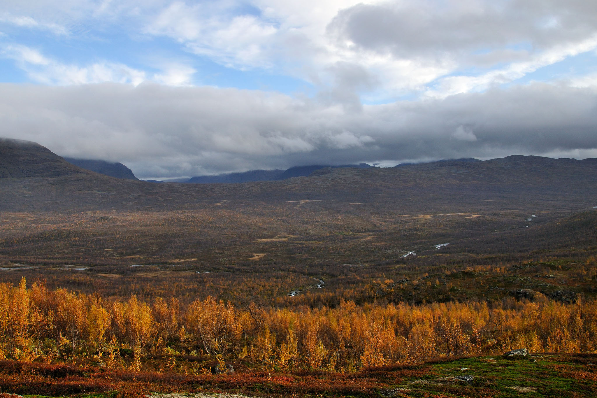 00082Abisko-sep2011.jpg