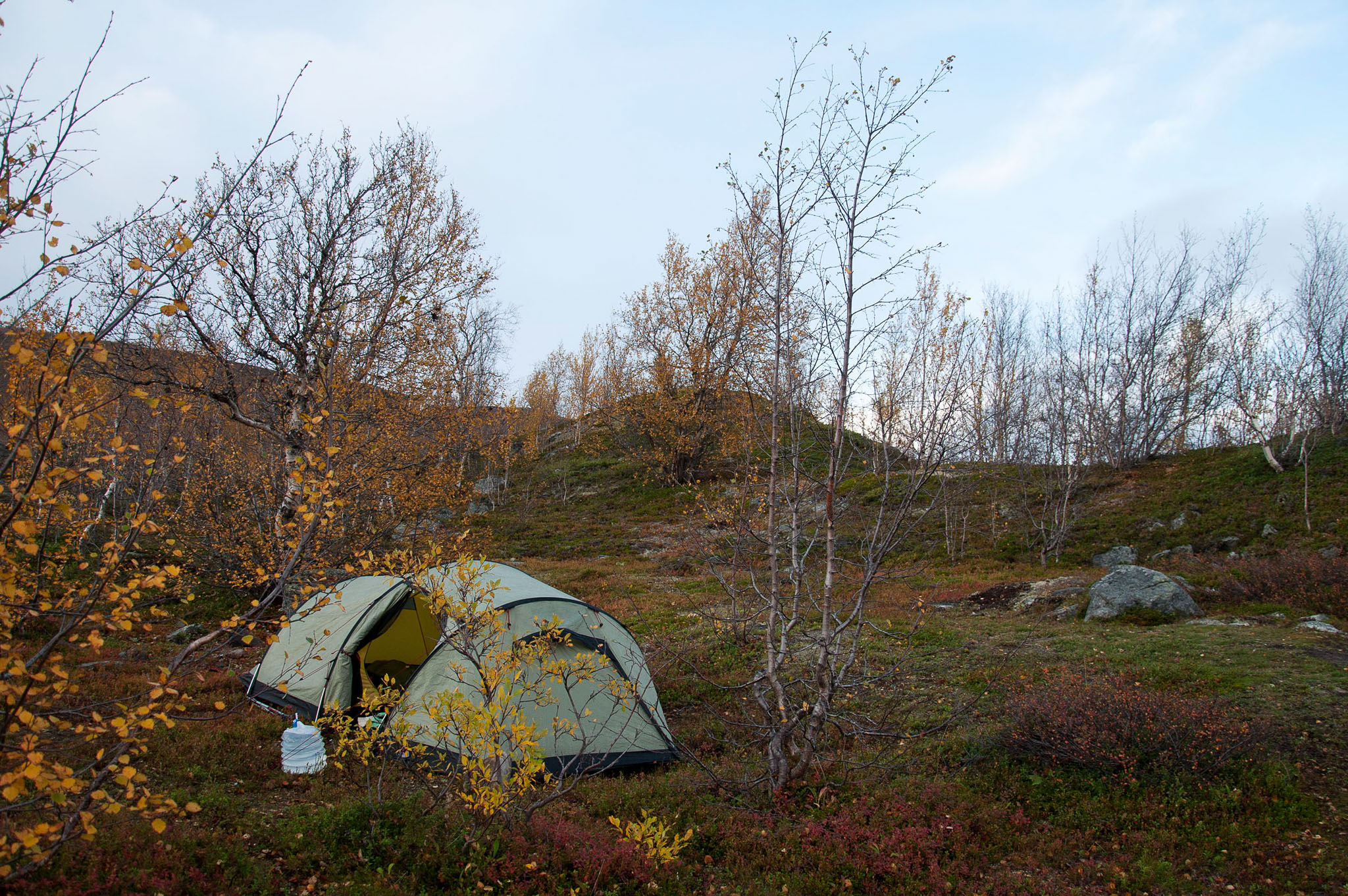 00084Abisko-sep2011.jpg