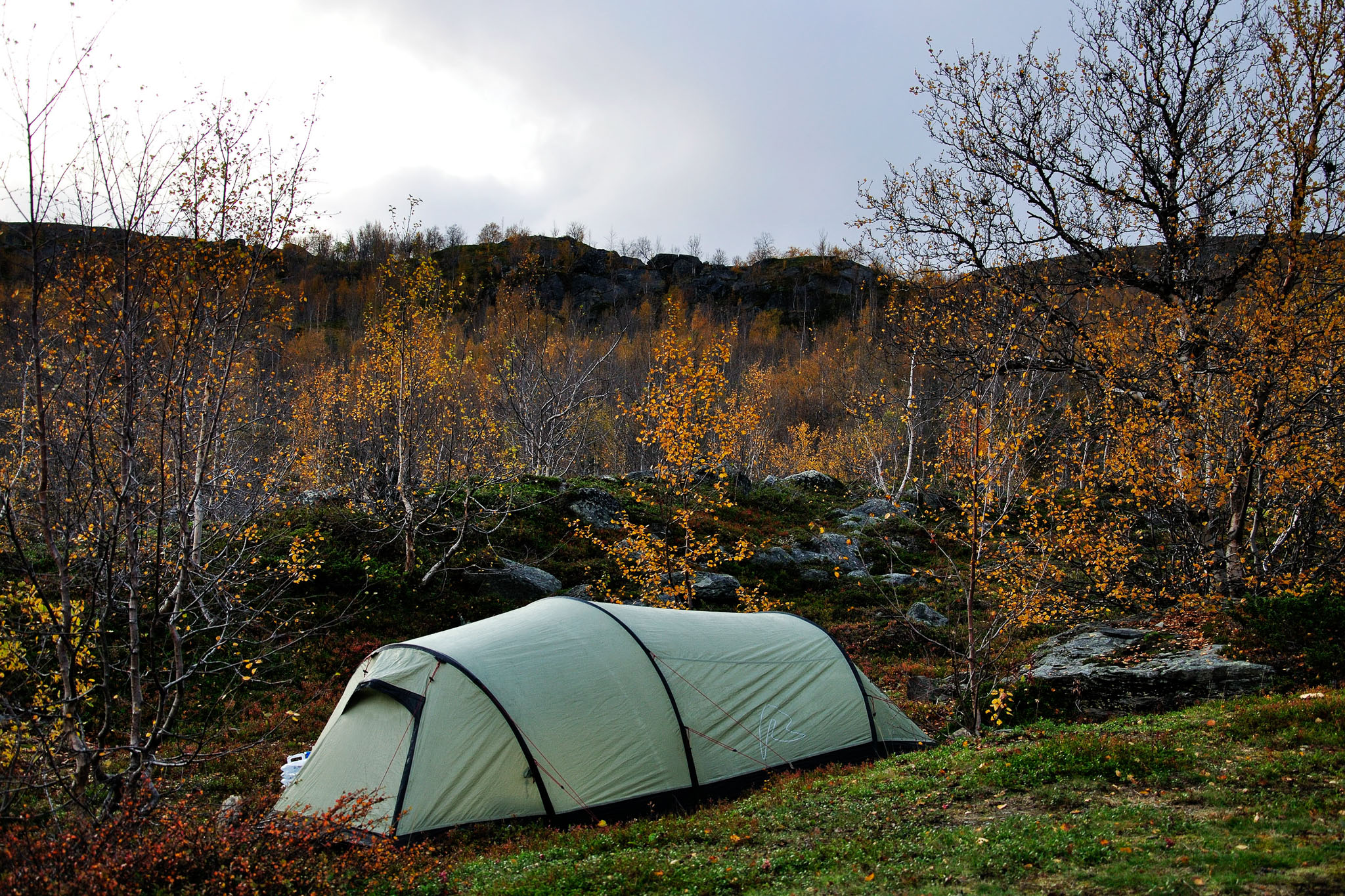 00086Abisko-sep2011.jpg