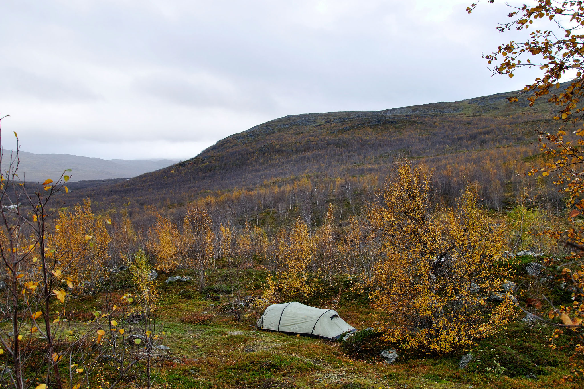 00090Abisko-sep2011.jpg