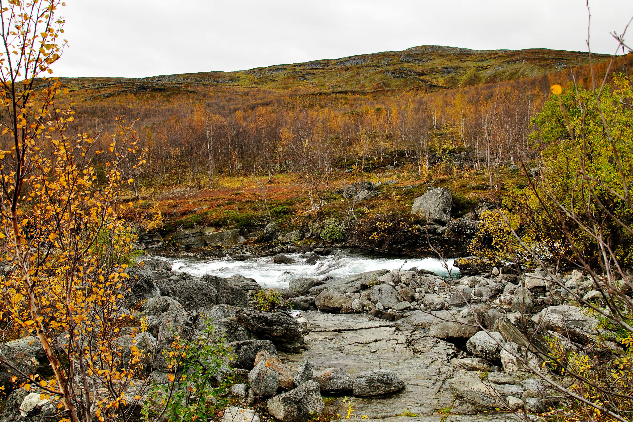 00094Abisko-sep2011.jpg