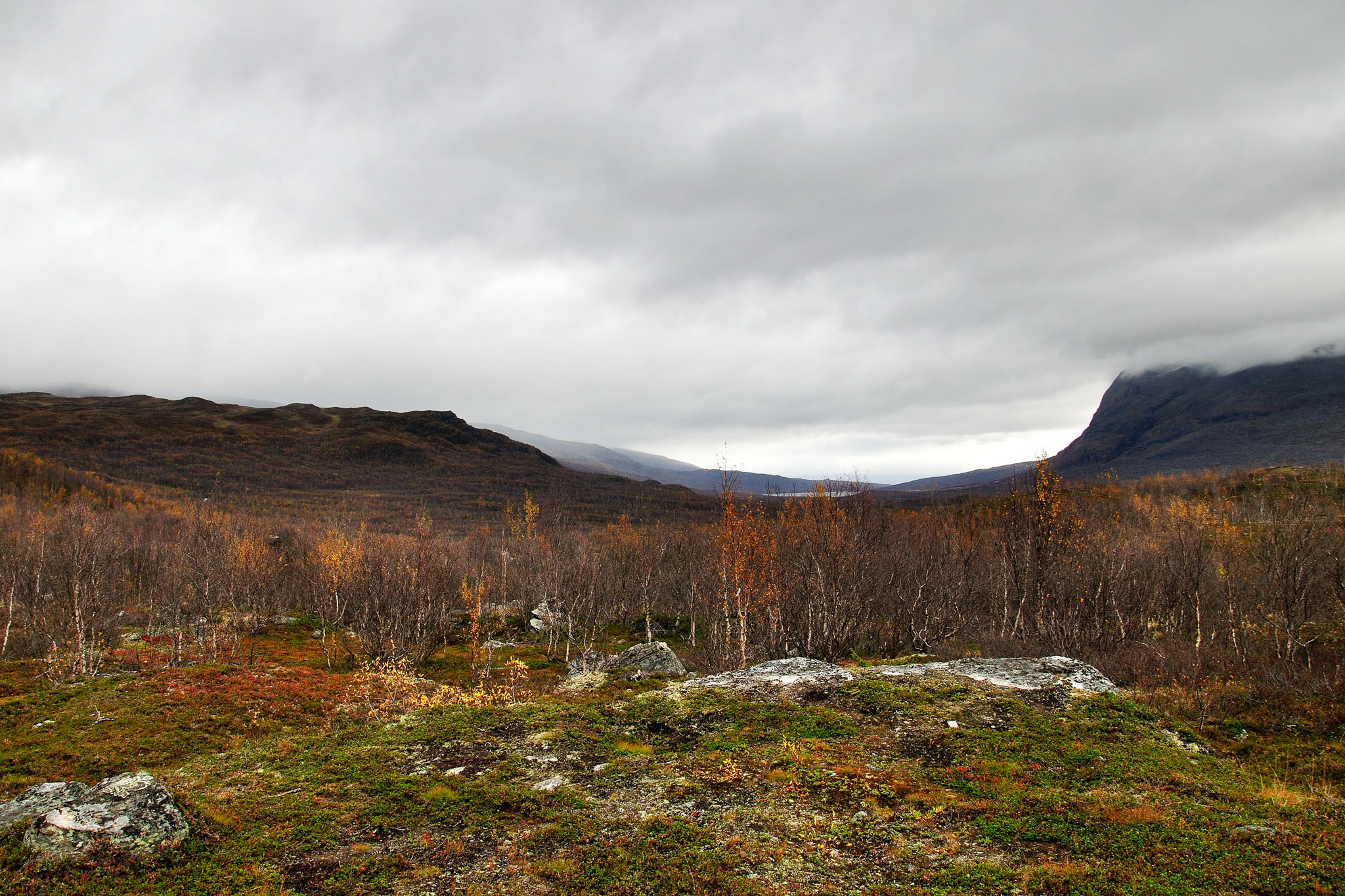 00095Abisko-sep2011.jpg