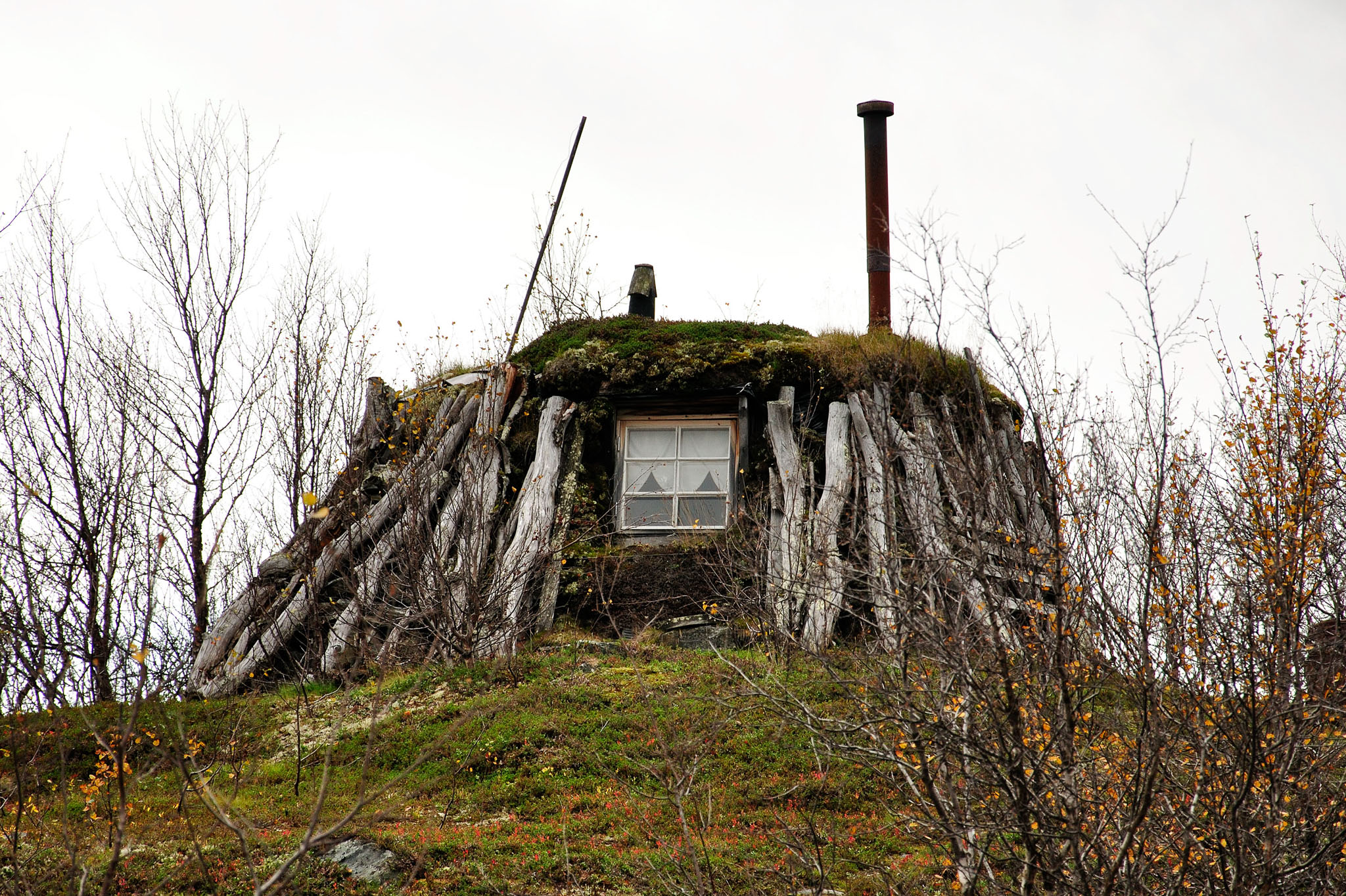 00096Abisko-sep2011.jpg