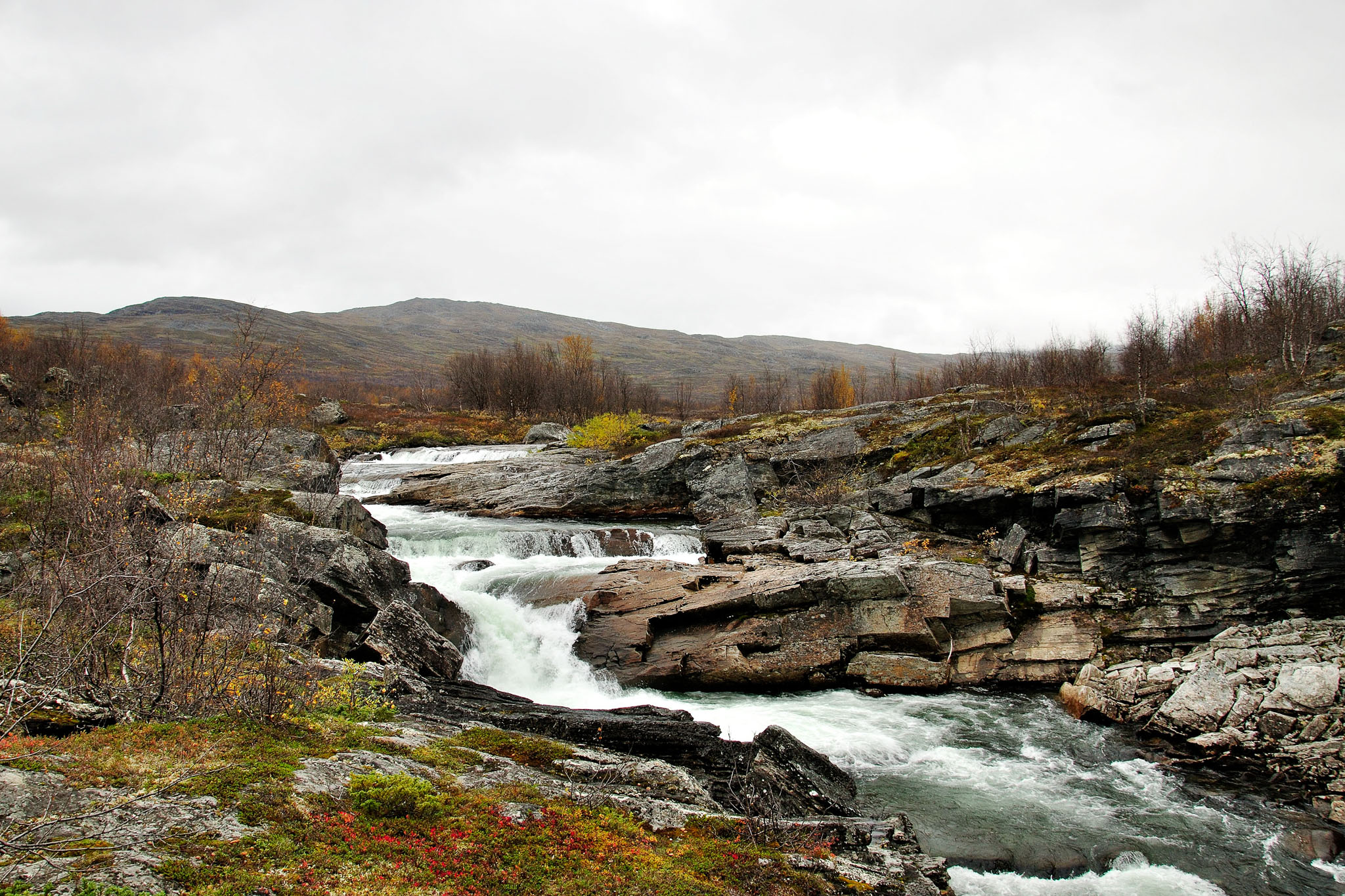 00097Abisko-sep2011.jpg