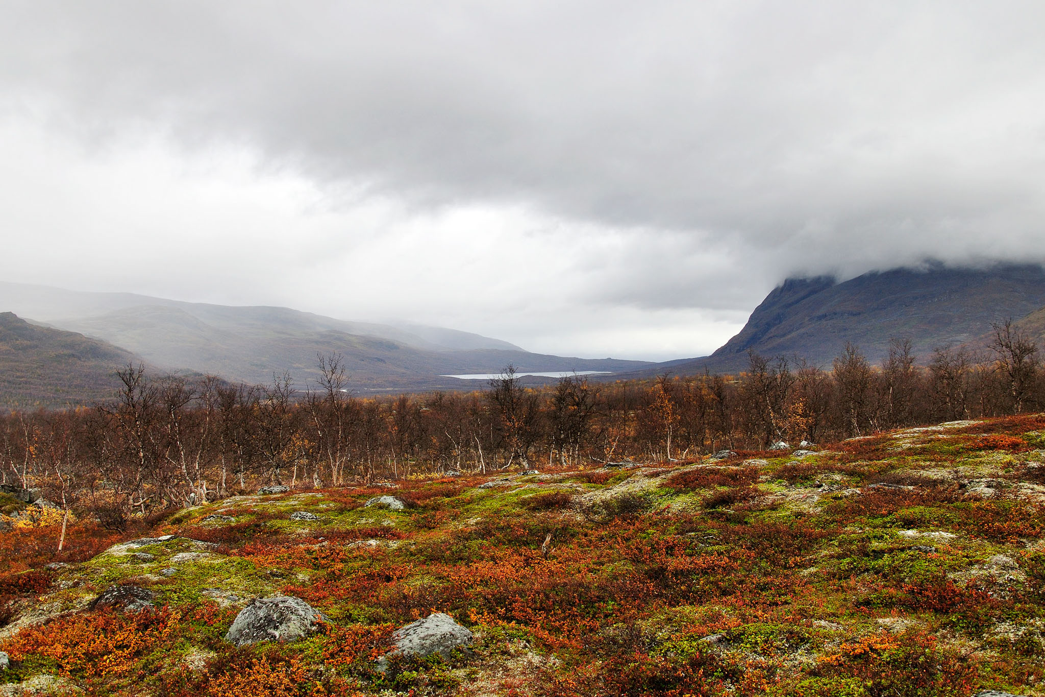 00098Abisko-sep2011.jpg