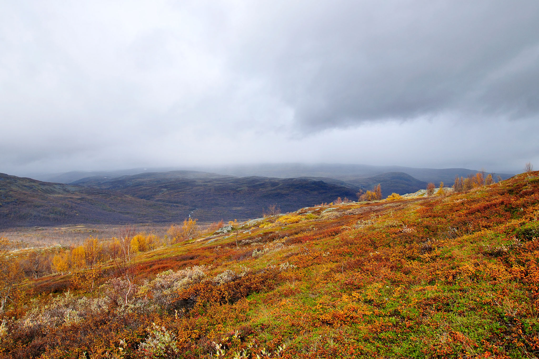 00099Abisko-sep2011.jpg