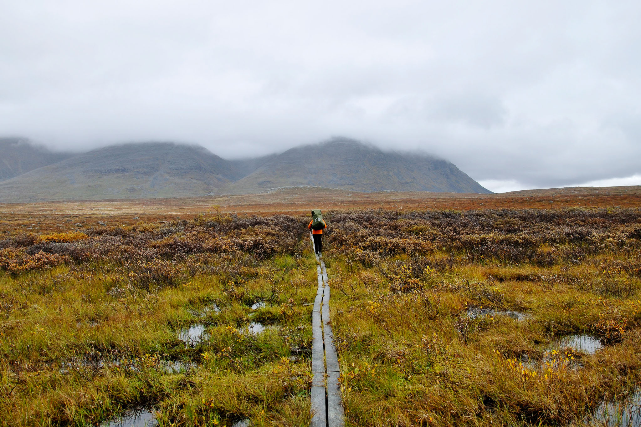 00105Abisko-sep2011.jpg