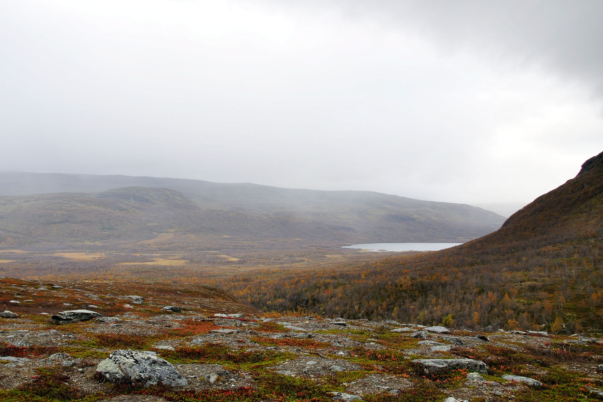 00106Abisko-sep2011.jpg