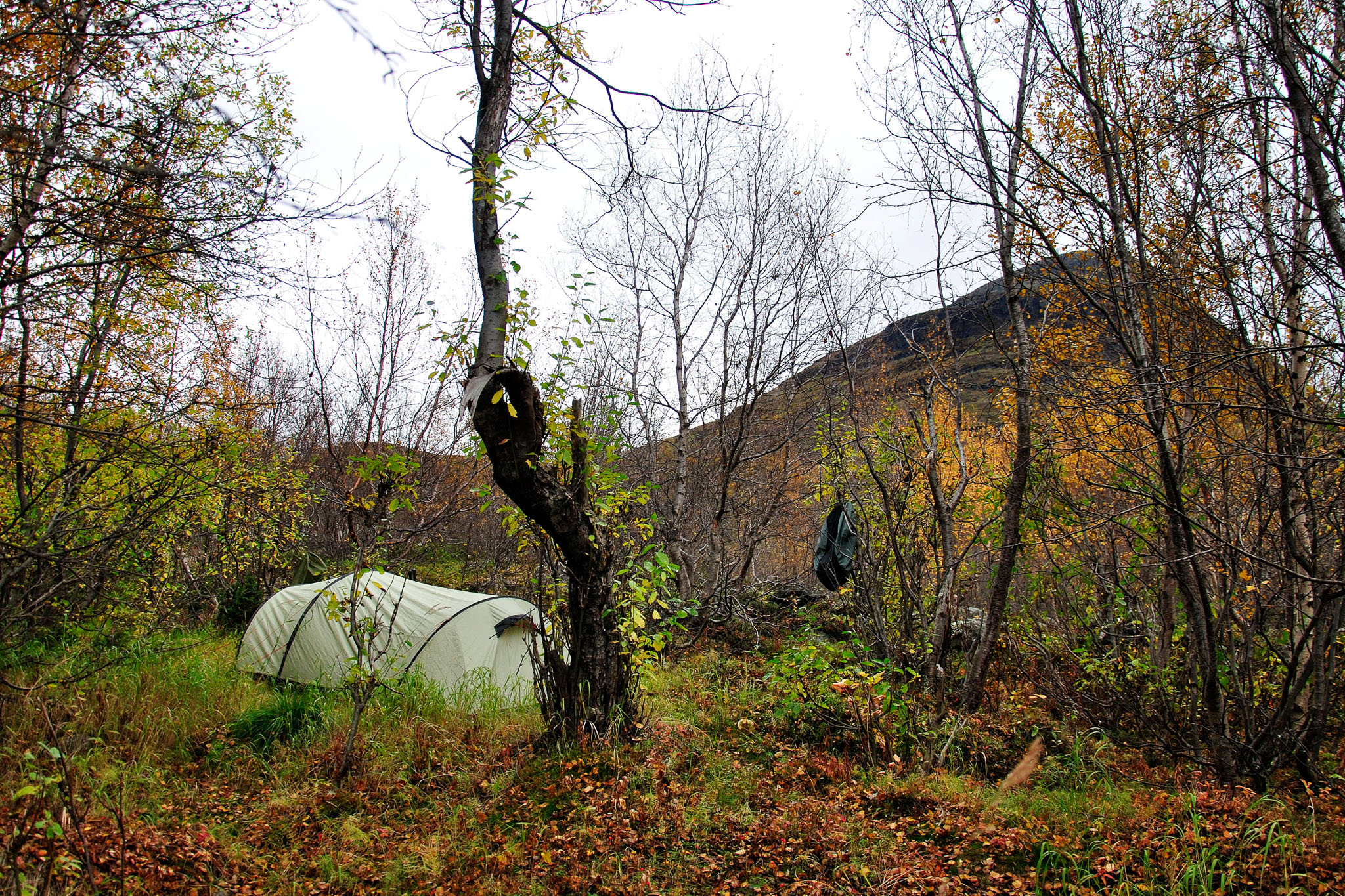 00108Abisko-sep2011.jpg