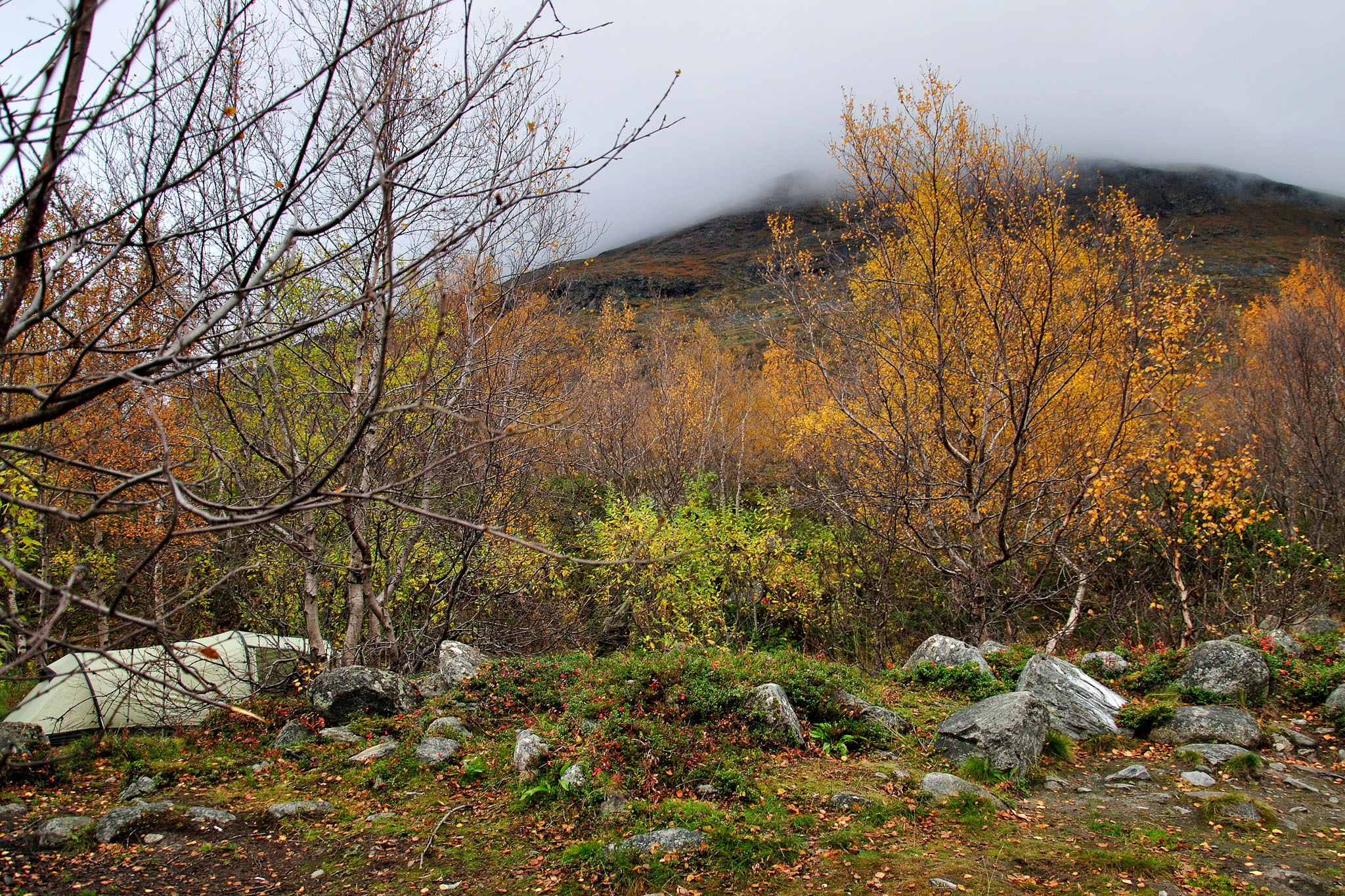 00109Abisko-sep2011.jpg