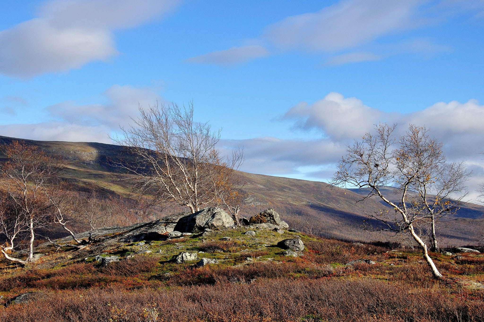 00110Abisko-sep2011.jpg