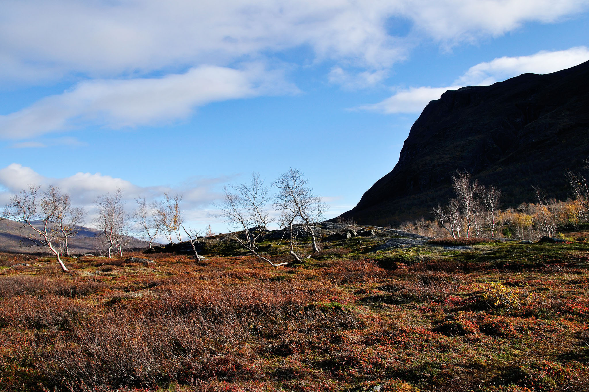 00111Abisko-sep2011.jpg