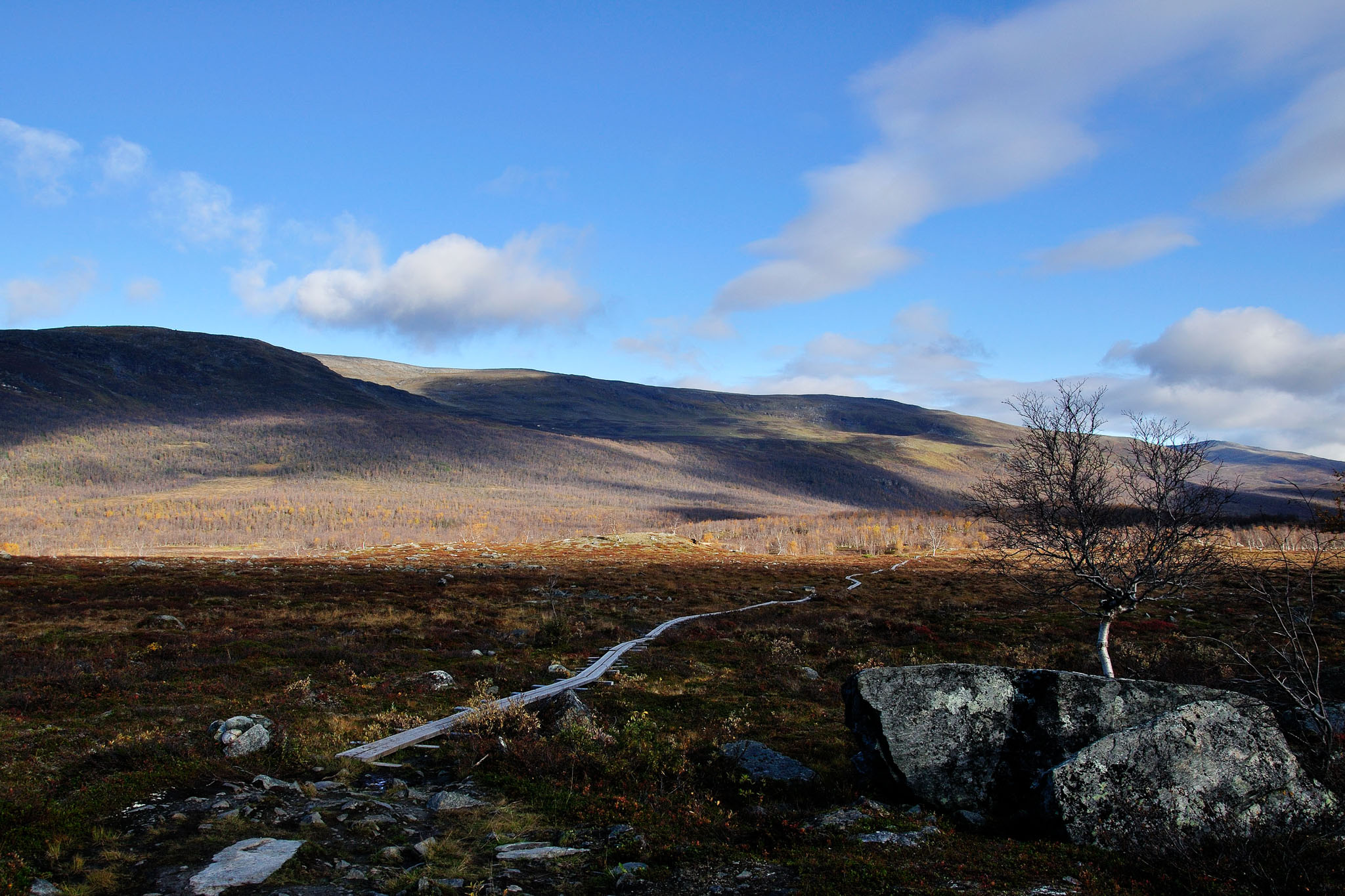 00112Abisko-sep2011.jpg