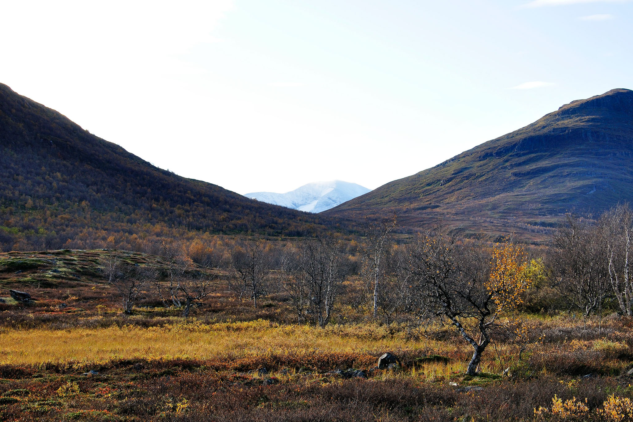 00114Abisko-sep2011.jpg