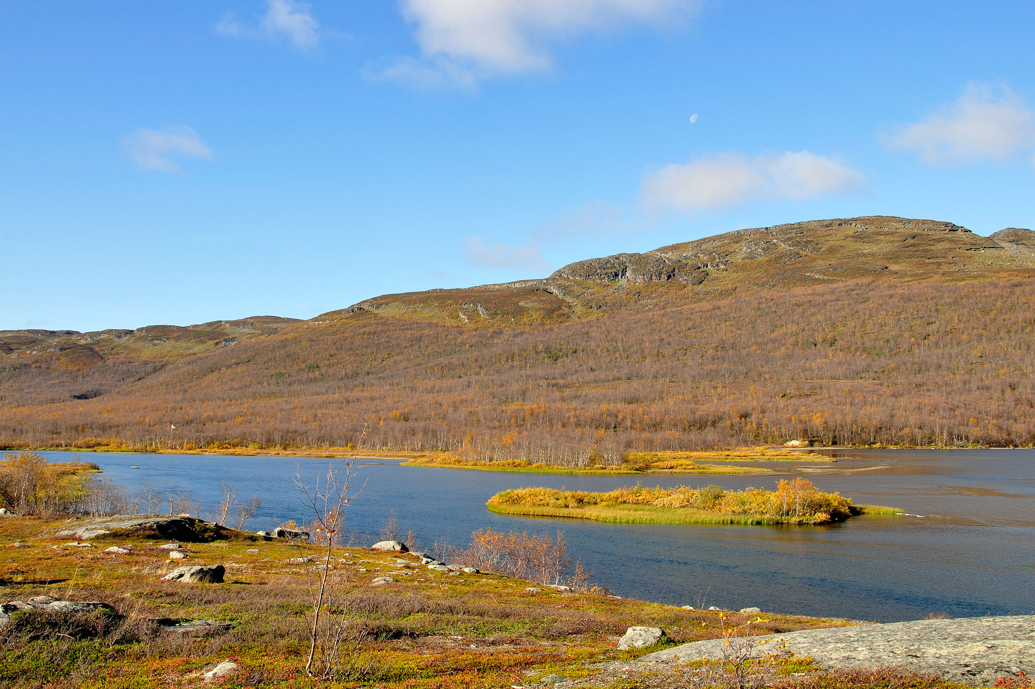 00116Abisko-sep2011.jpg