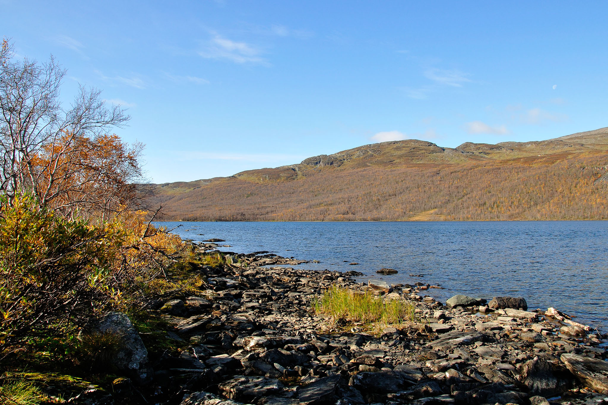 00117Abisko-sep2011.jpg