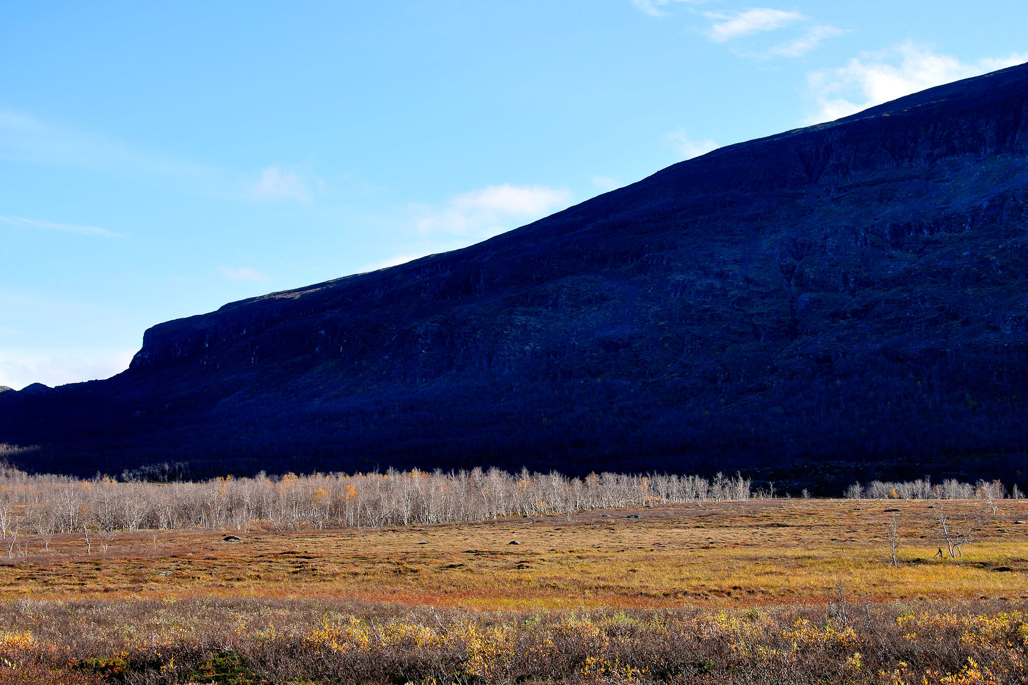 00122Abisko-sep2011.jpg