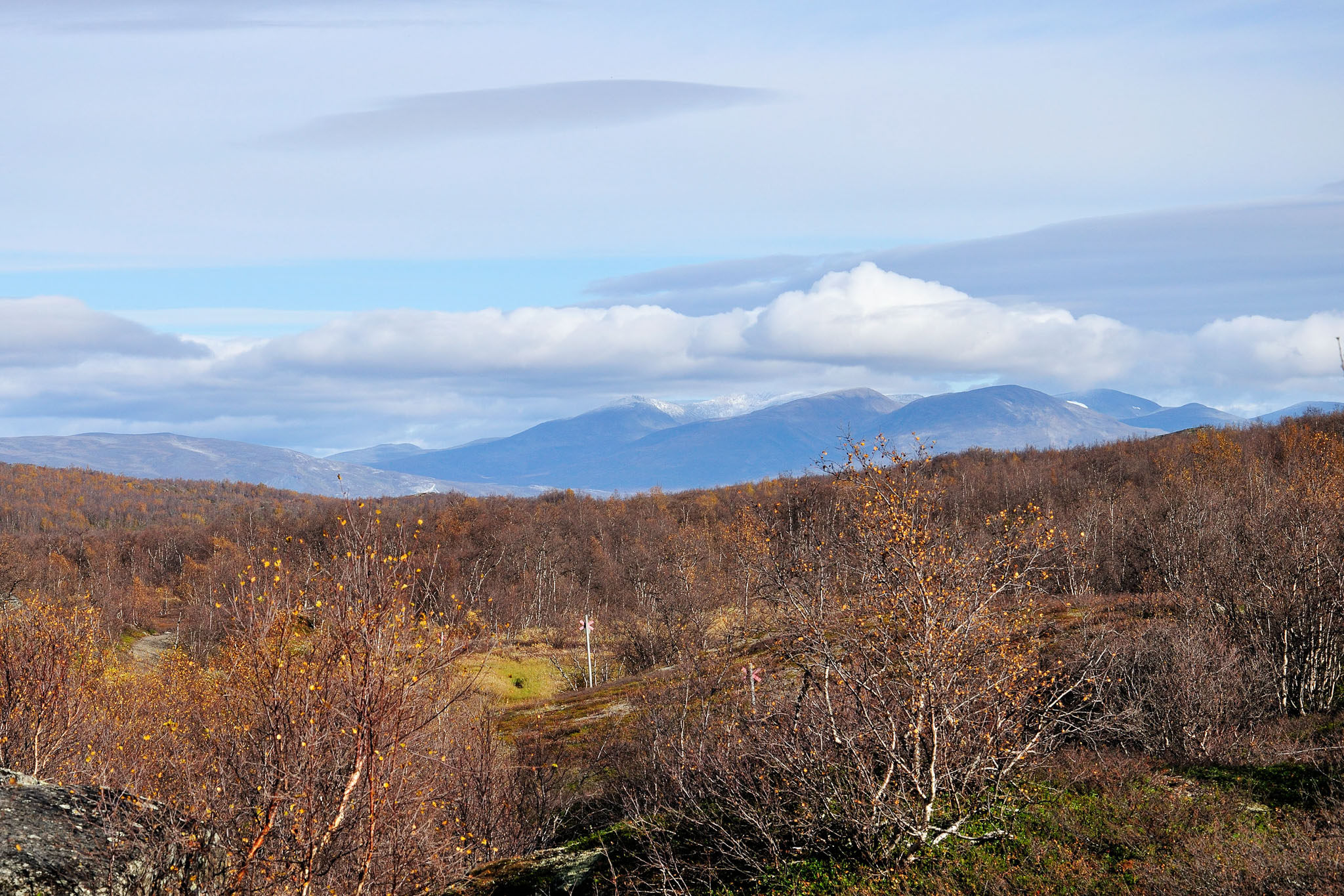 00124Abisko-sep2011.jpg