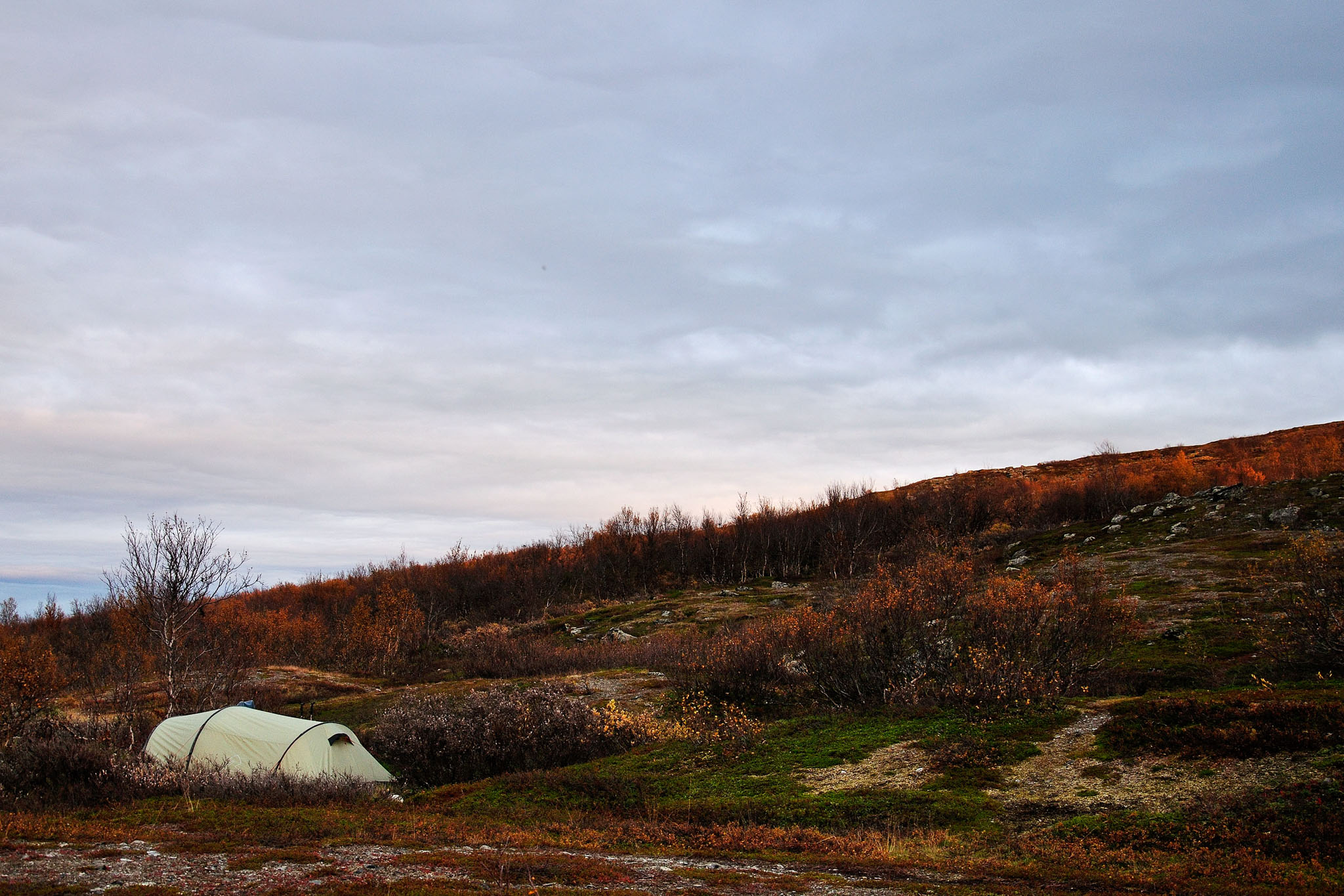 00126Abisko-sep2011.jpg