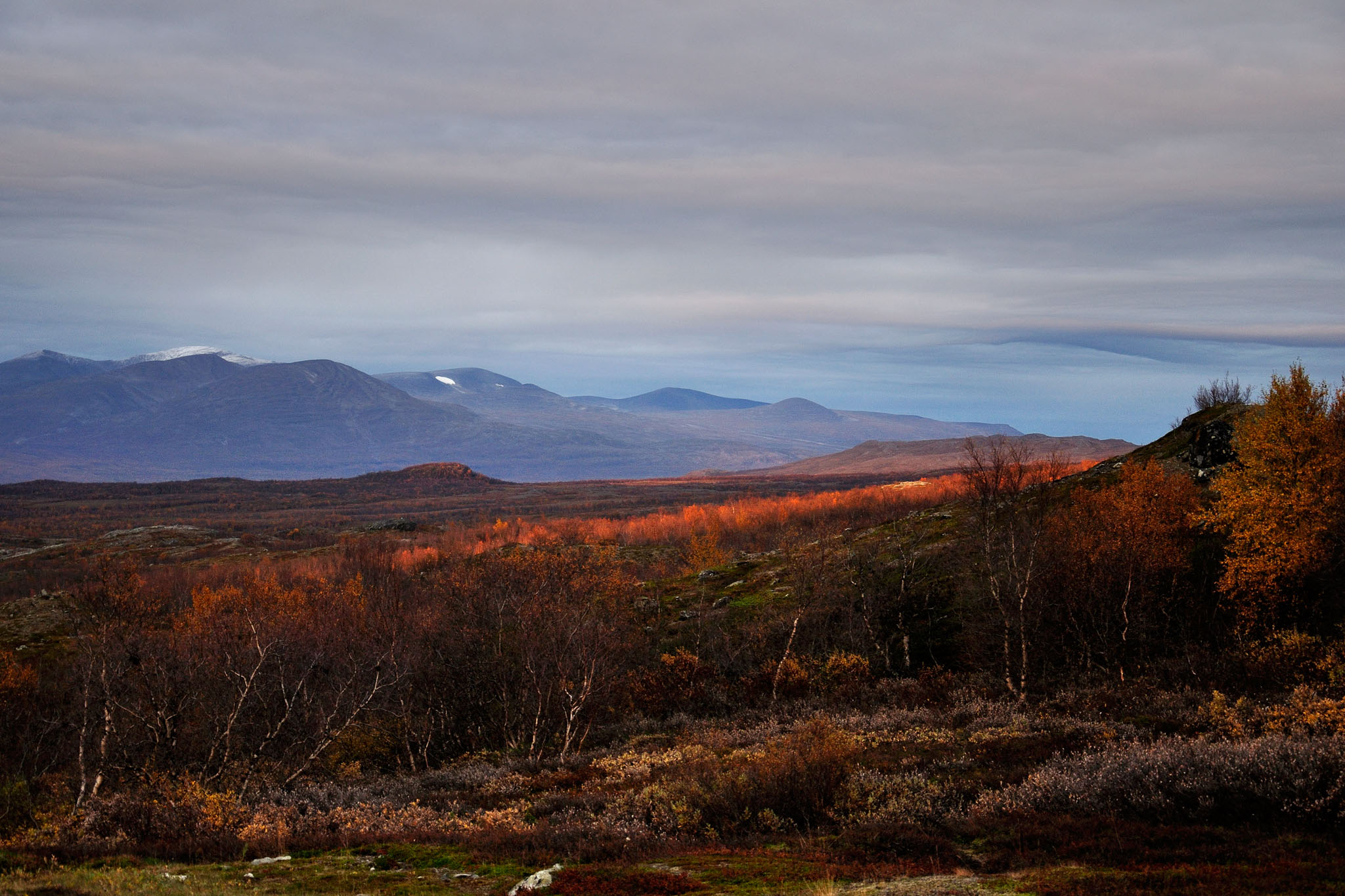 00127Abisko-sep2011.jpg