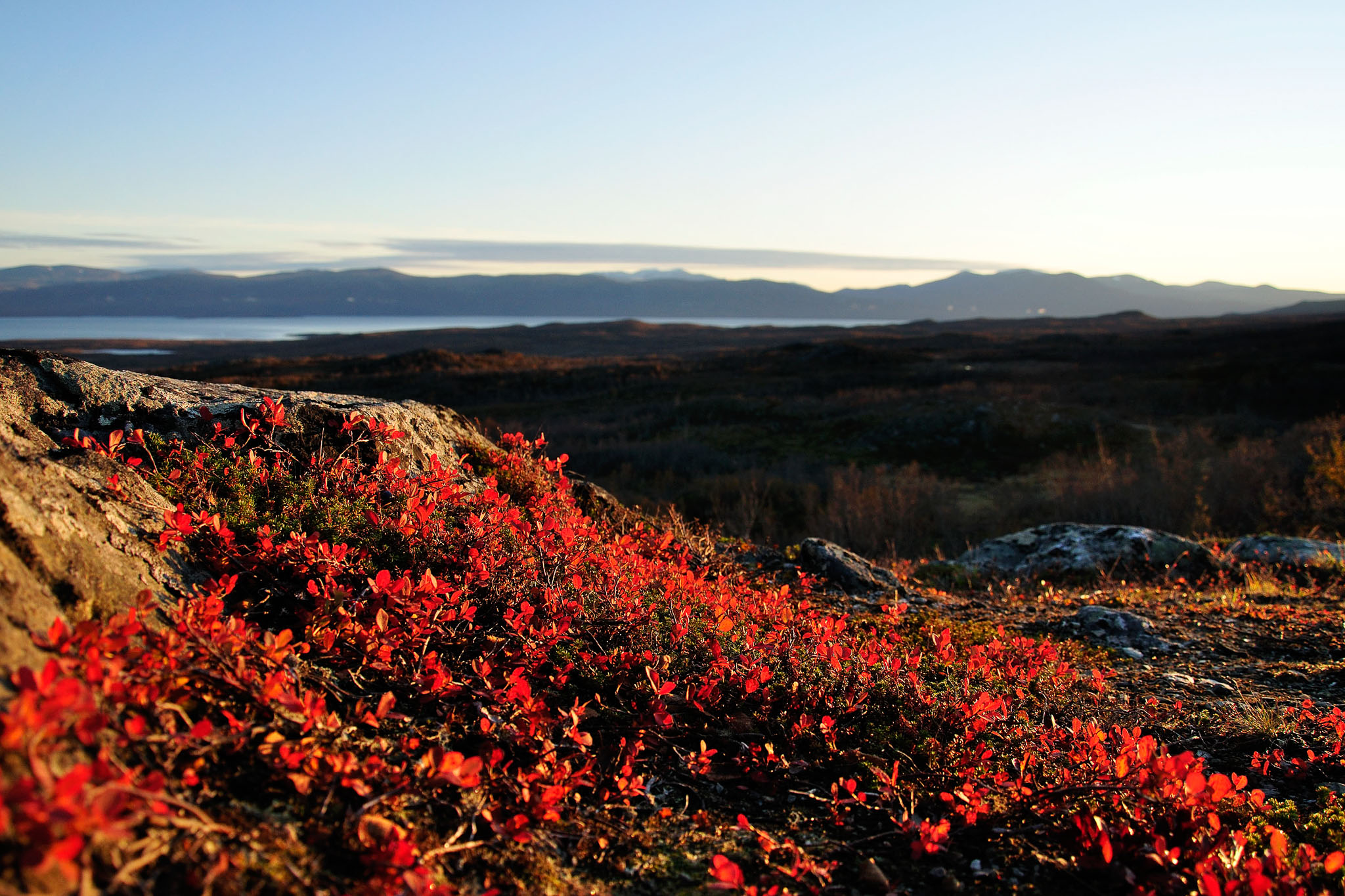 00133Abisko-sep2011.jpg