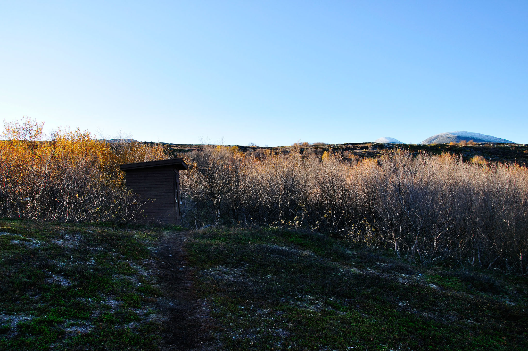 00138Abisko-sep2011.jpg