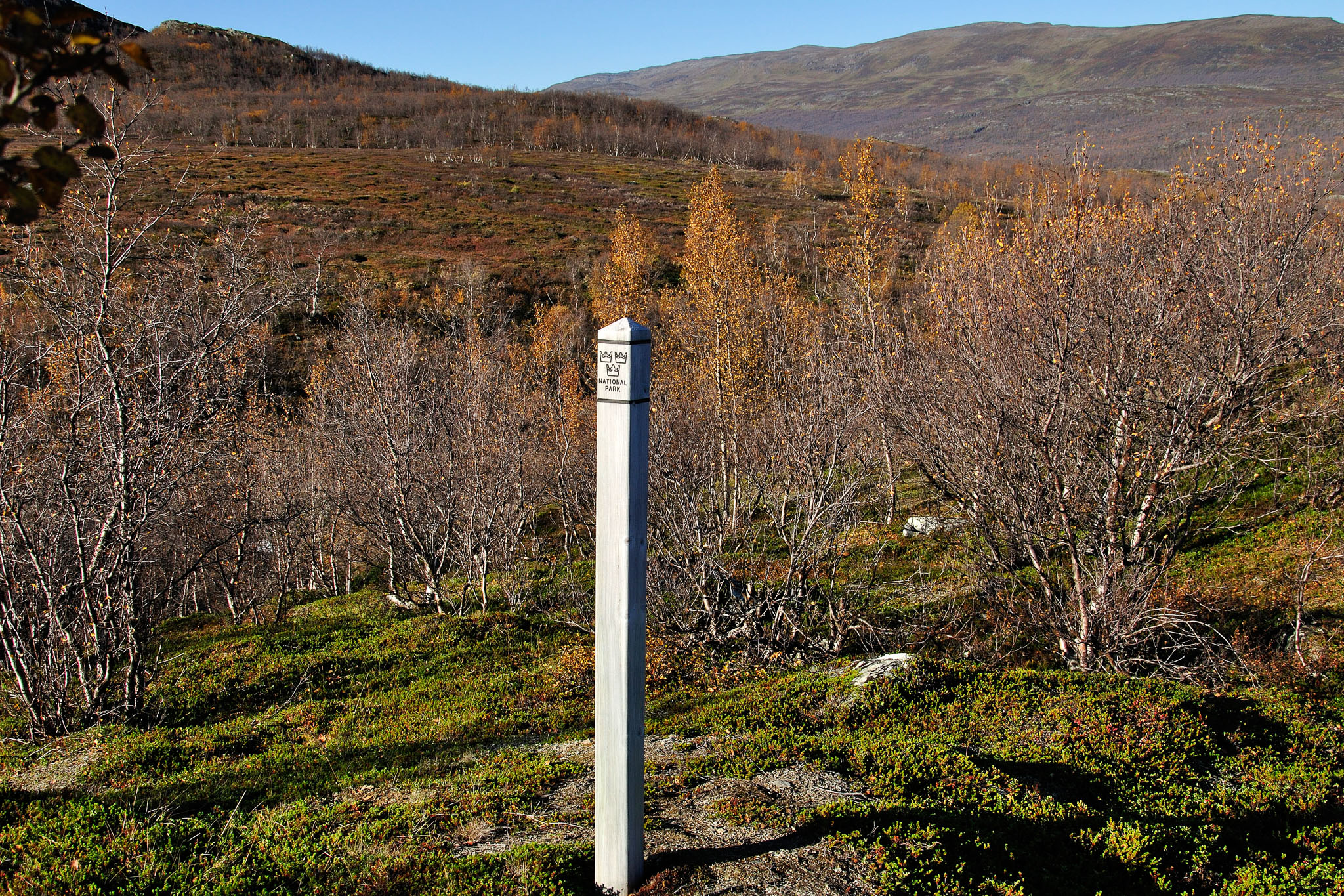 00145Abisko-sep2011.jpg