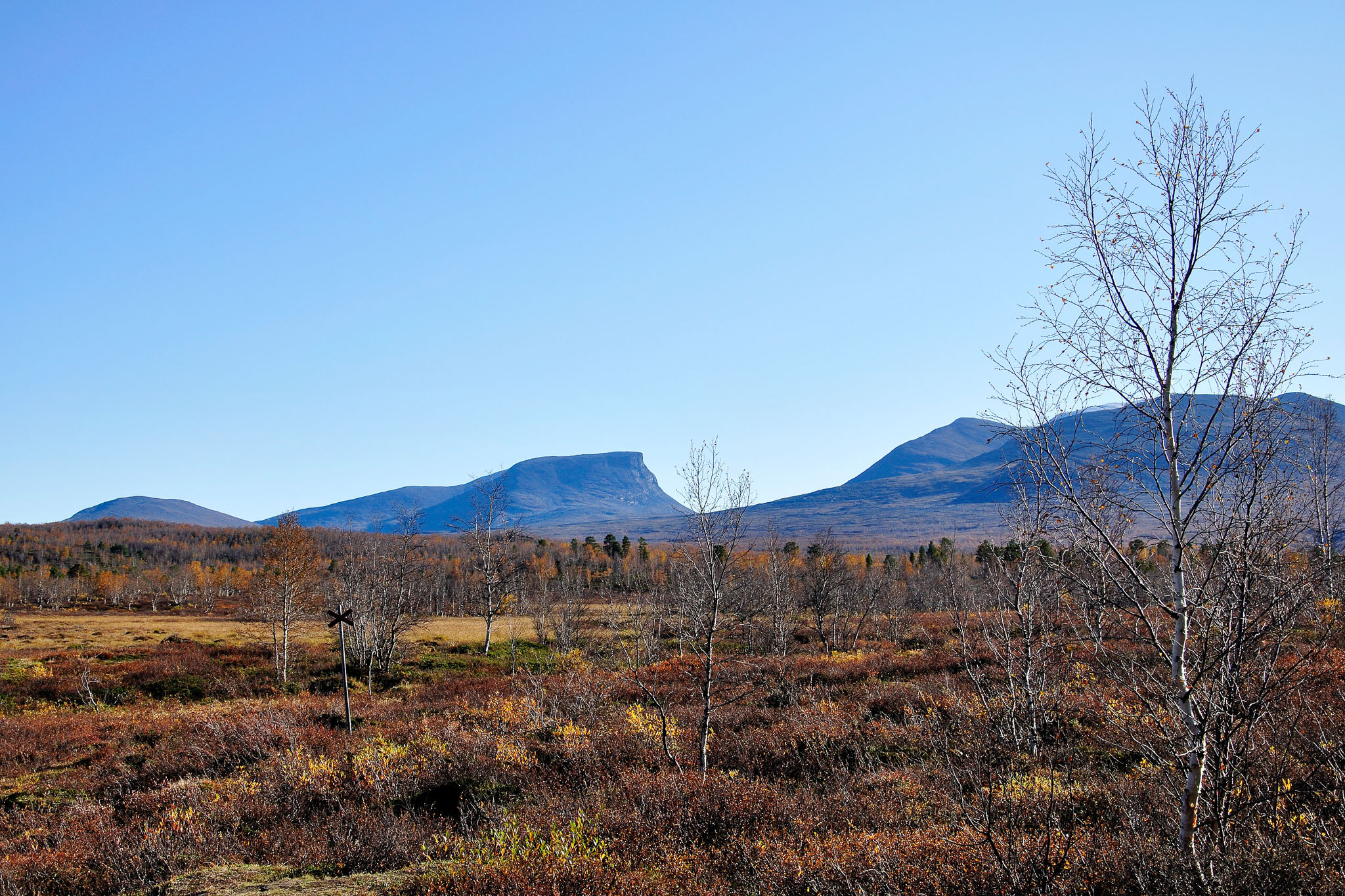 00148Abisko-sep2011.jpg