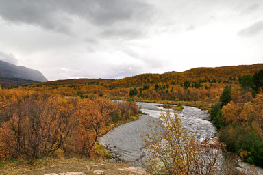 00011Abisko-sep2011.jpg