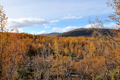 00014Abisko-sep2011.jpg