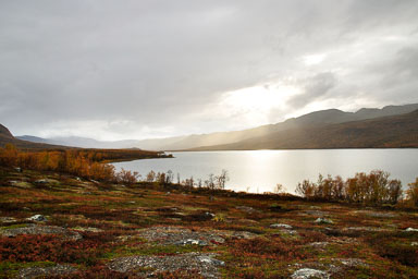 00015Abisko-sep2011.jpg