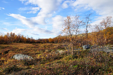 00021Abisko-sep2011.jpg